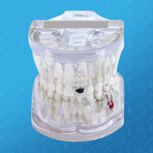 odontologia integral dentista cancun