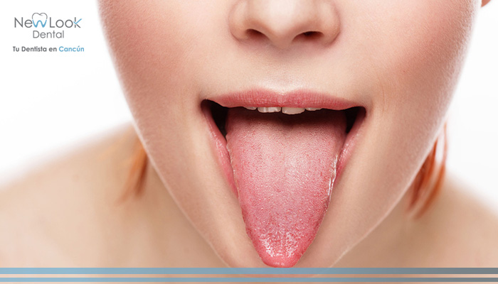 La lengua: el músculo más fuerte del cuerpo